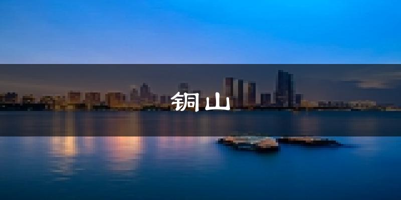 徐州铜山天气预报未来一周
