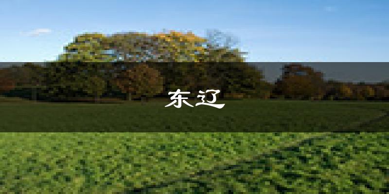 东辽天气预报未来一周