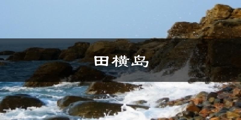 田横岛气温