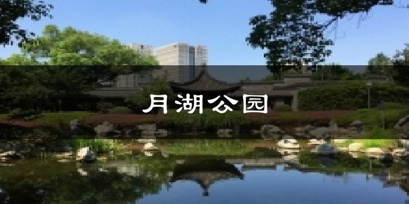 月湖公园气温