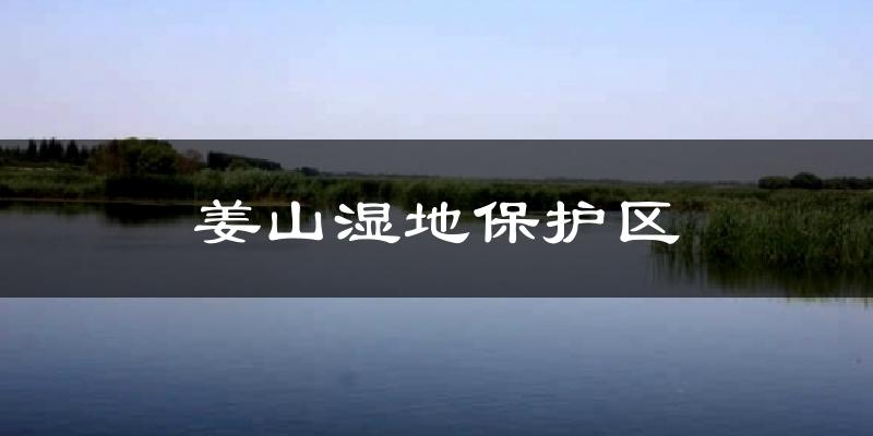 姜山湿地保护区气温