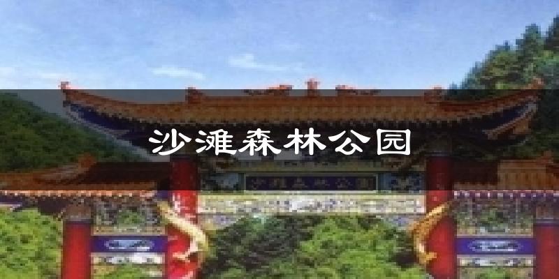 沙滩森林公园气温