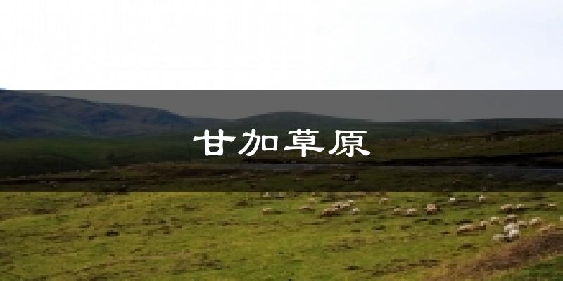 甘加草原气温
