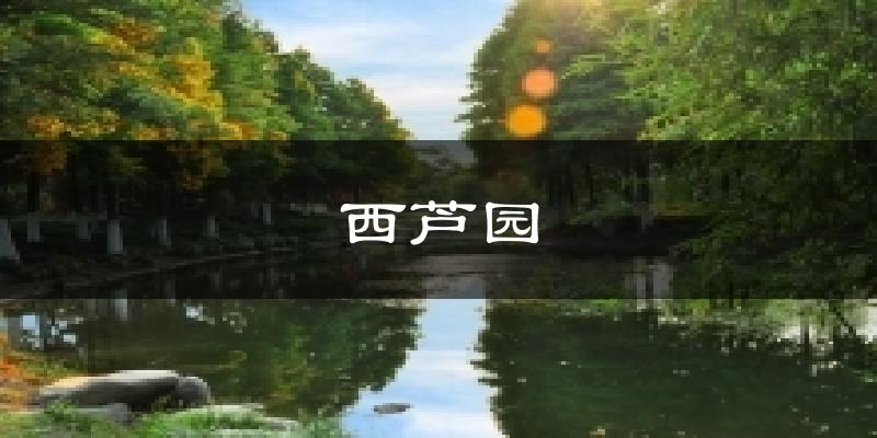 西芦园今日天气